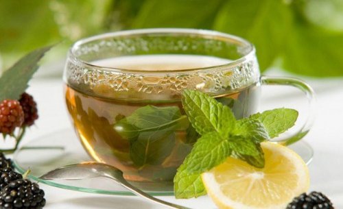 Infuso di coda di cavallo