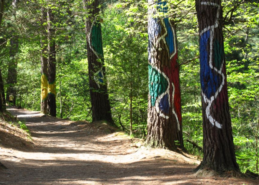 sentieri di montagna