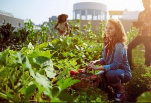 Frutta e verdura di stagione per preservare la salute