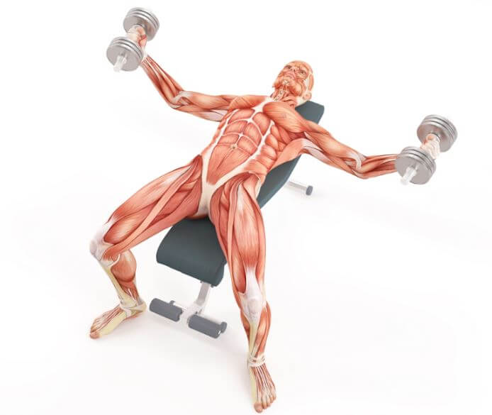 Chest press per nuotatori