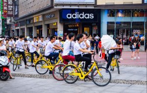 bike sharing in città