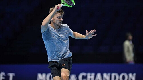 David Goffin