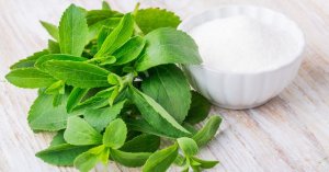 stevia