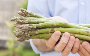 Ricette per preparare gli asparagi selvatici