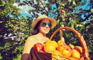 La pesca: benefici e curiosità di un frutto delizioso