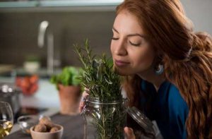 Rosmarino, quali sono i suoi benefici?