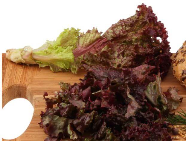 lattuga rossa