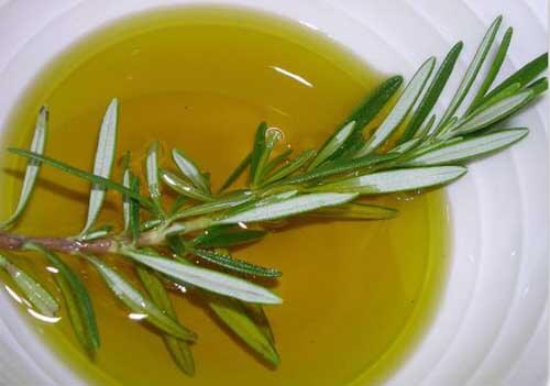 Rosmarino con olio in un piatto