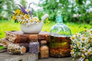 8 buone ragioni per bere la camomilla