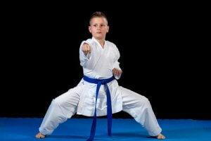 Lo Shidokan, un'arte marziale per il corpo e per la mente
