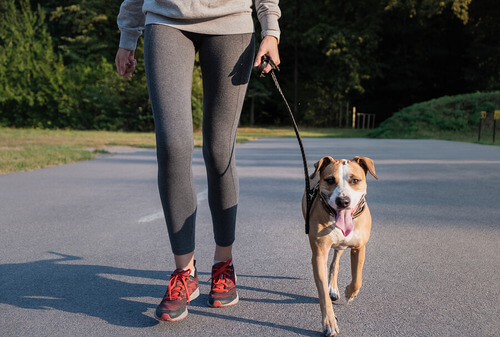 Correre al parco