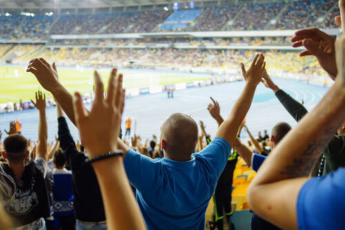 Violenza negli stadi