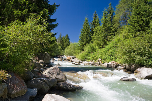 Fiume Noce tra i migliori fiumi per fare rafting