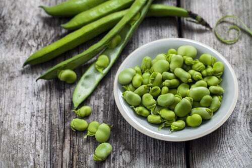 Fave: dei legumi ricchi di proteine vegetali