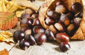Ricette con le castagne facili e gustose